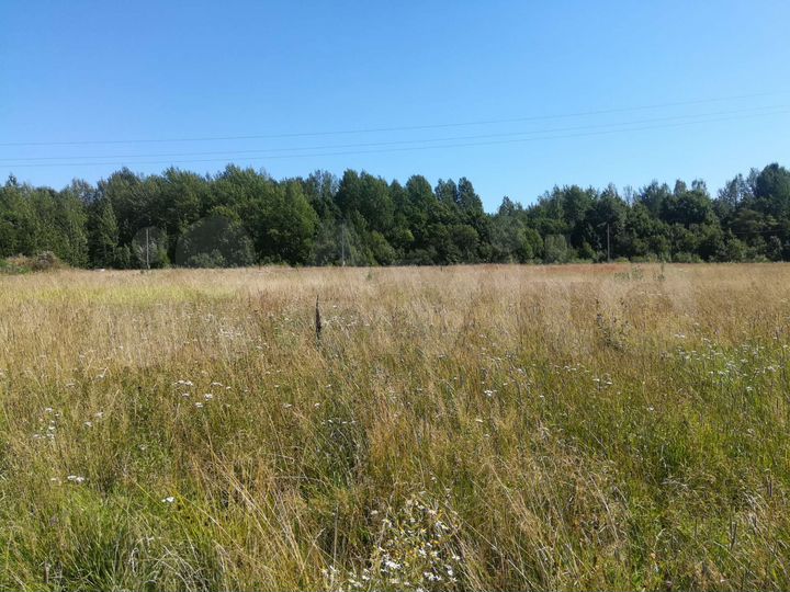 Участок 15 сот. (ИЖС)