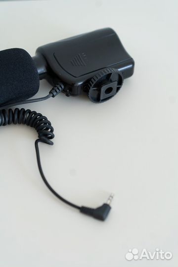 Микрофон Raylab Kino