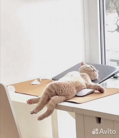 Обучающие Мастер - классы, курсы