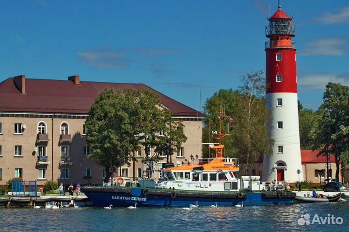 Экскурсия Янтарный и Балтийск