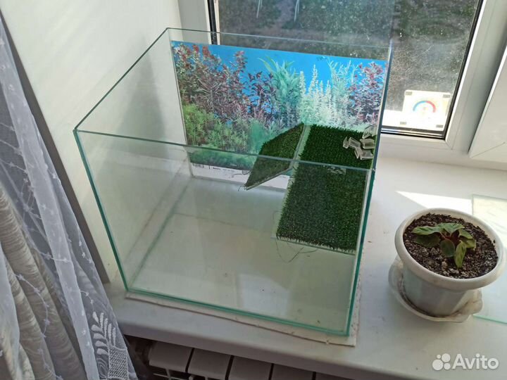 Аквариум Террариум