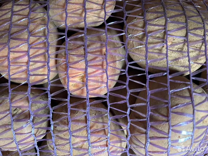 Продам картофель