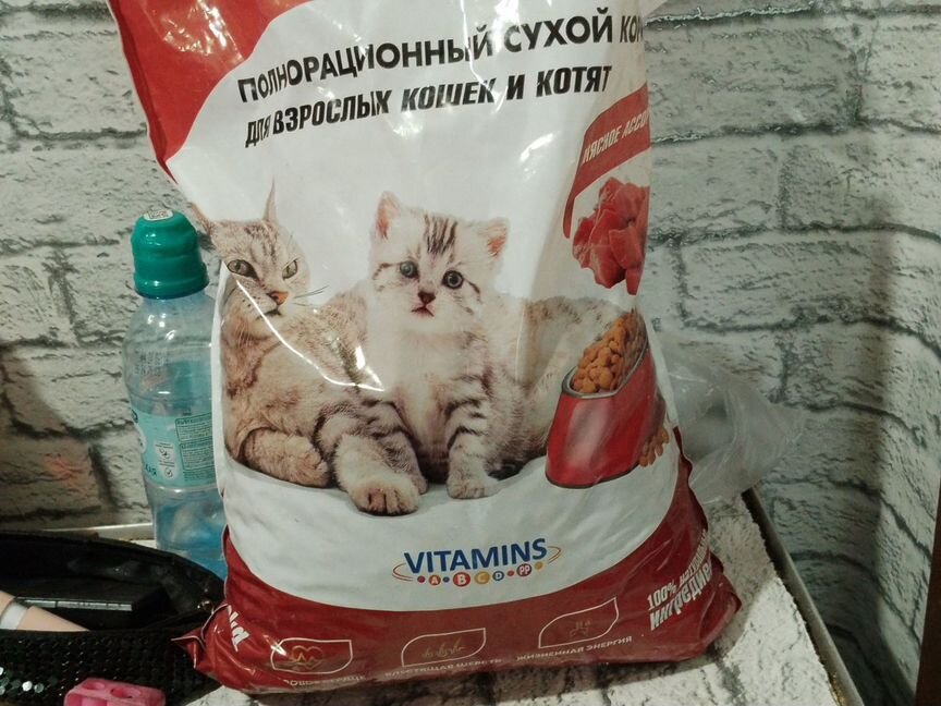 Кошачий сухой корм