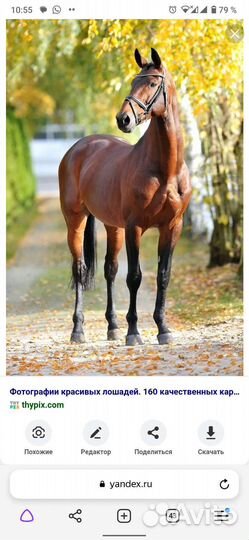 Сельское хозяйство