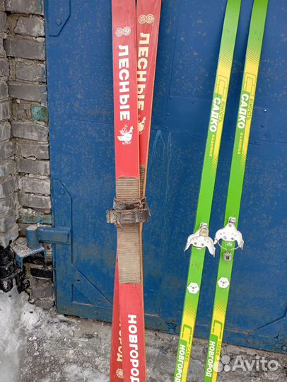 Лыжи: горные, охотничьи и детские