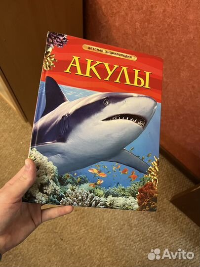 Книга для детей