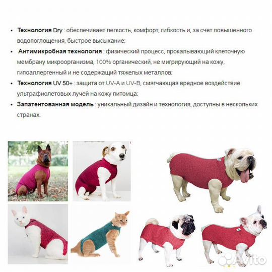 Новая для кошек, собак