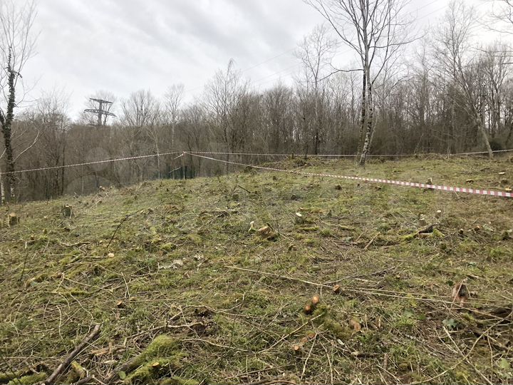 Участок 16 сот. (СНТ, ДНП)