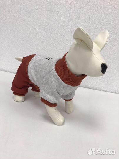 Комбинезон для собаки