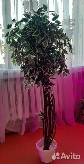 Декоративное дерево