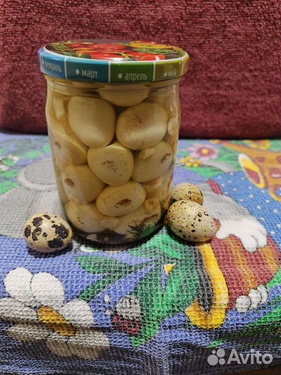 Яйца перепелиные домашние