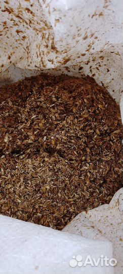 Пивная дробина