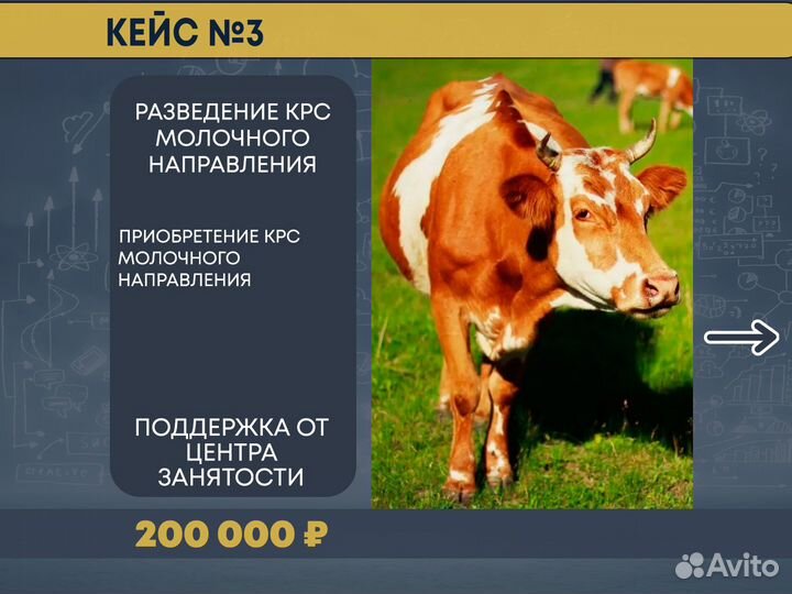 Бизнес-план. Соцконтракт. Субсидии. Гранты