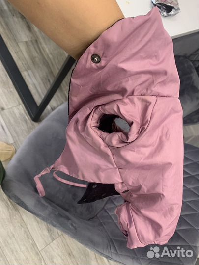 Одежда на чихуа