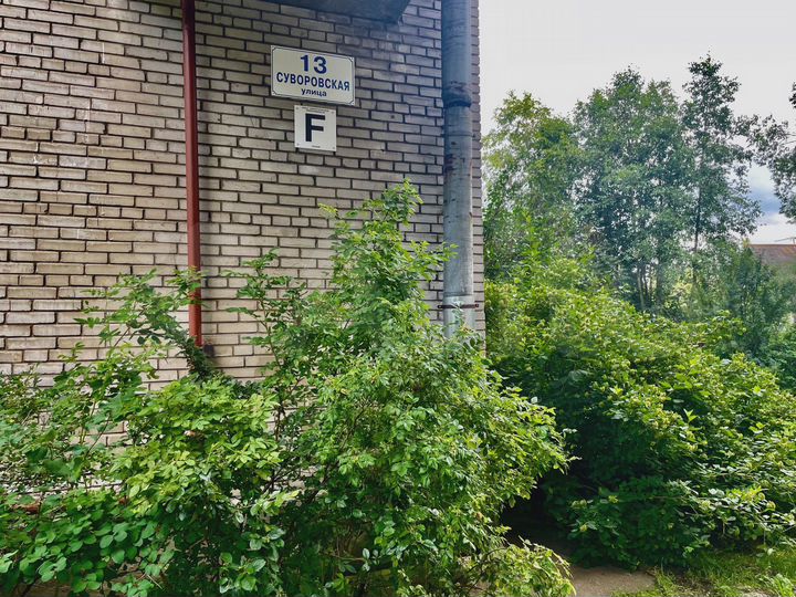 3-к. квартира, 67,9 м², 3/5 эт.