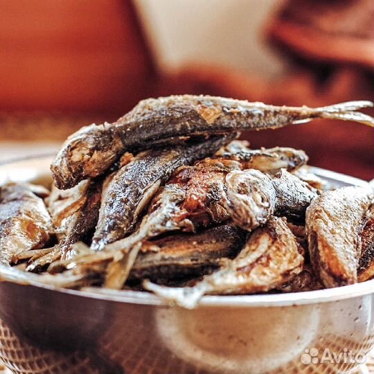 Морская рыбалка в Адлере