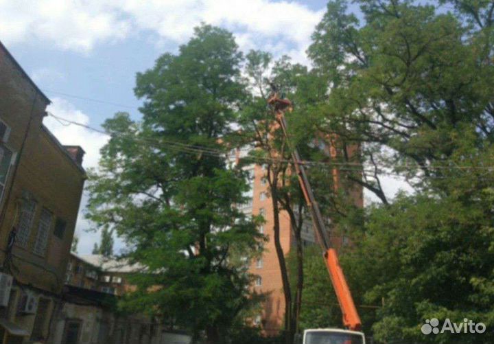 Спил дерева, обрезка вывоз камаз самосвал