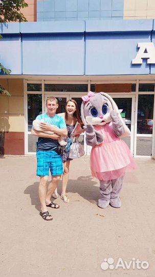 Поздравление от зайки