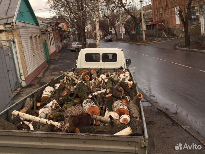 Спил деревьев,покос травы,уборка дворовых,дачных у