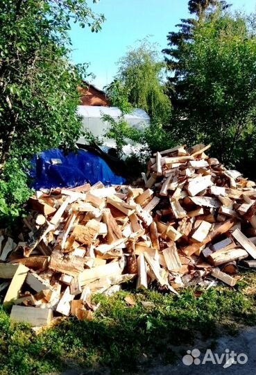 Дрова Береза с доставкой в Выборге