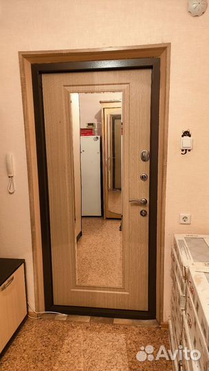 Дверь входная металлическая с зеркалом