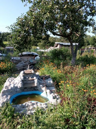 Участок 5,8 сот. (СНТ, ДНП)