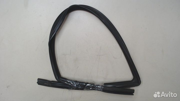 Уплотнитель Peugeot 406, 1999