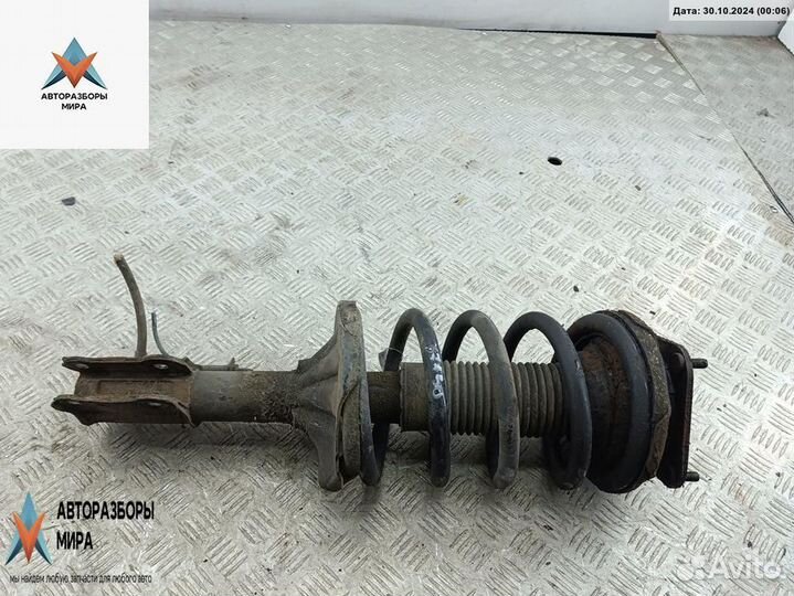 Стойка передняя Kia Carnival UP/GQ рест. 2003