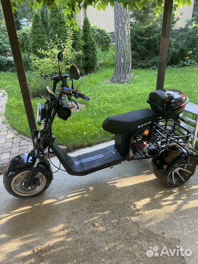 Электроскутер CityCoco SkyBoard Trike BR60-3000 Pr