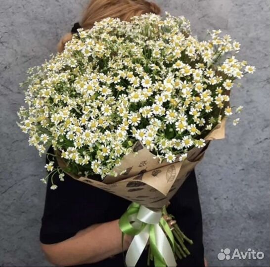 Ромашки цветы букеты