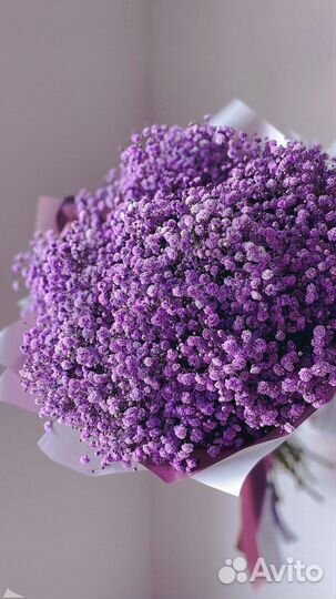 Гипсафила букет