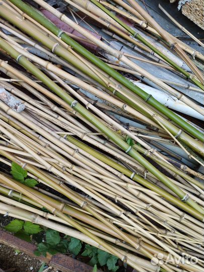 Бамбука для изделий