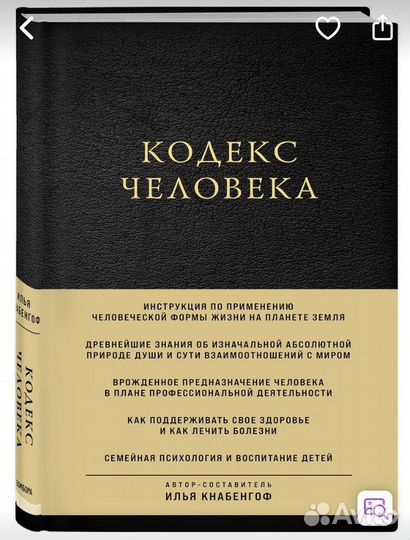Кодекс человека Илья Кнабенгоф