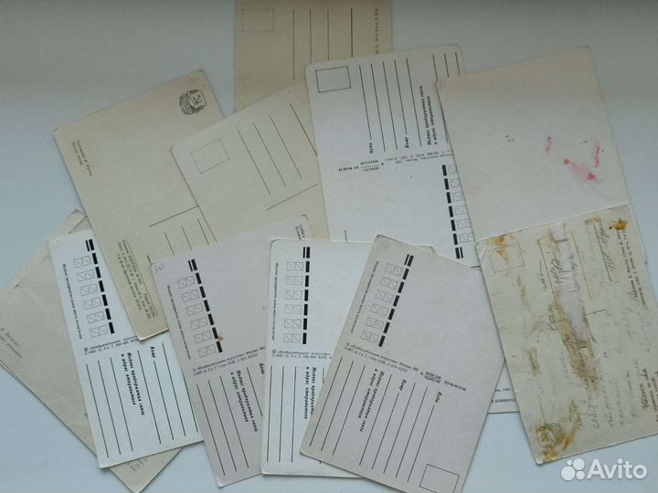 Открытки птицы и животные