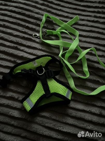 Одежда для собак и кошек