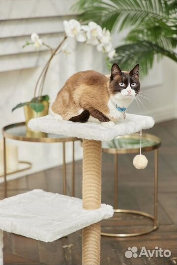 Когтеточка с лежанкой