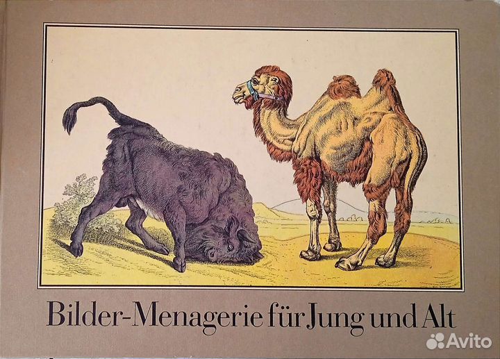 Детская книга-альбом на немецком и ещё 3-х языках