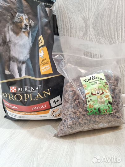 Корм для собак