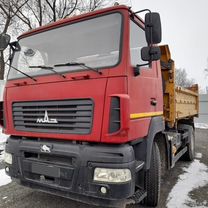 Самосвал МАЗ 5550В5-420-021, 2014, Нижний Тагил