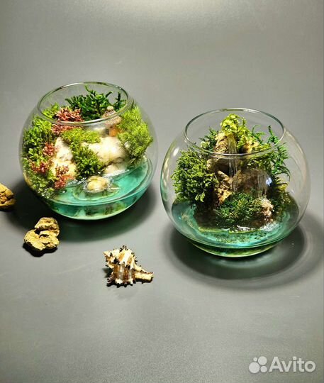 Флорариум, моссариум