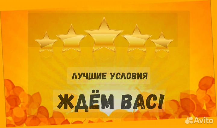 Маркировщик Еженедельный аванс М/Ж Спецодежда