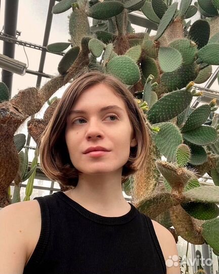 Репетитор по биологии егэ