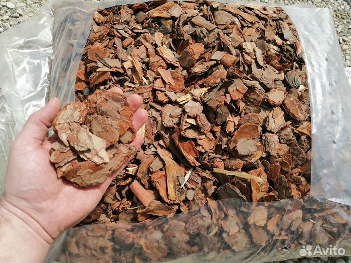 Кора сосны мульча