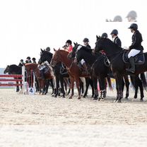 Помогу открыть конно-спортивную школу