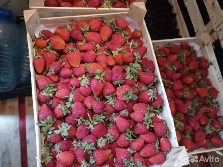 Клубника Малина Ежевика