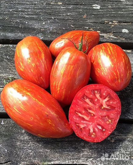 Семена сортовых томатов