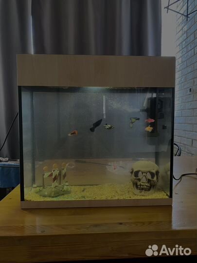 Аквариум