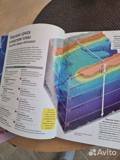 Красочные детские книги. Энциклопедии