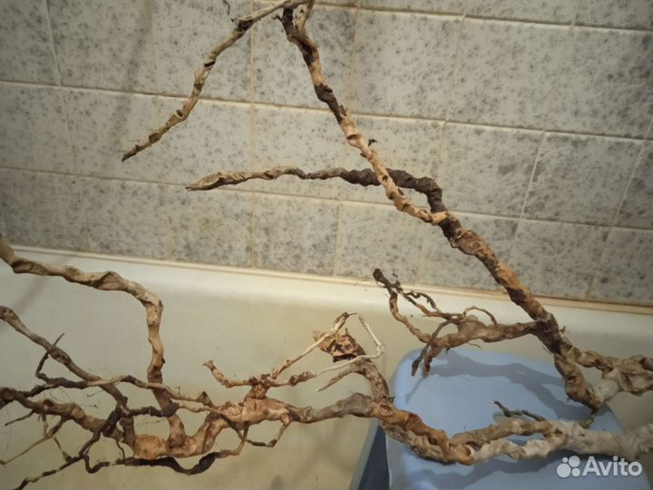 Коряги для аквариума,террариума,флорариума и декор