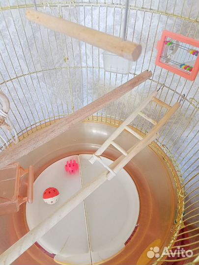 Клетка для попугая корелла